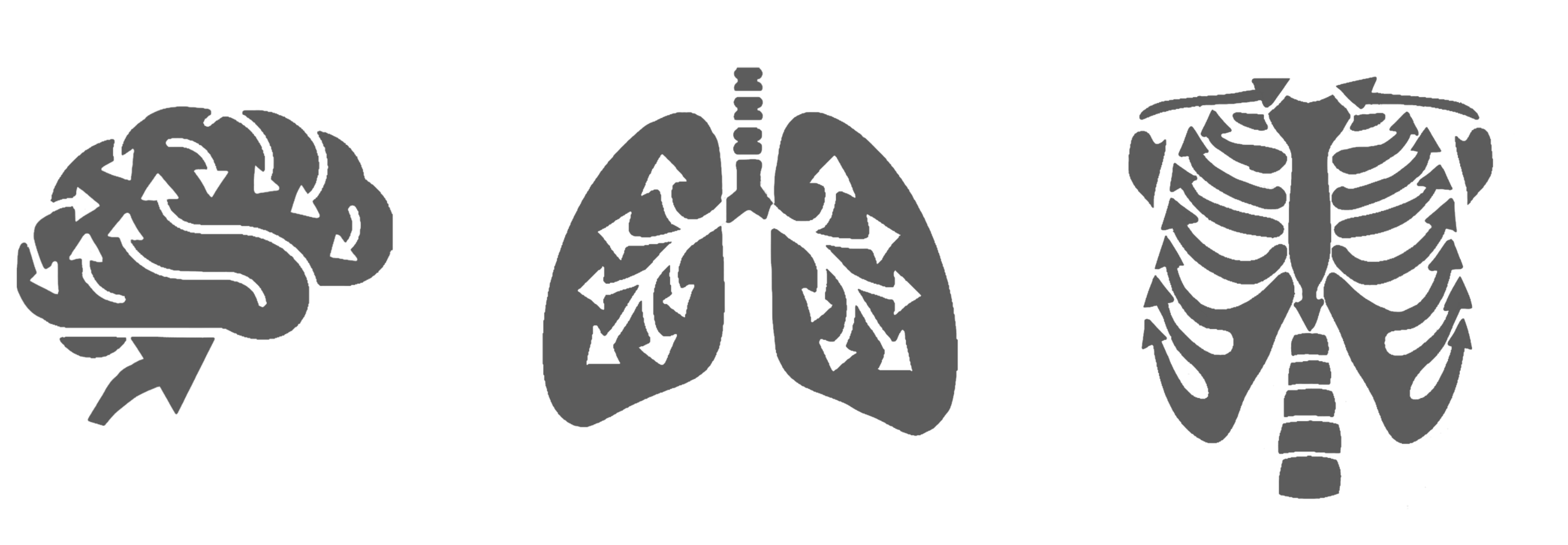 ReHuman System